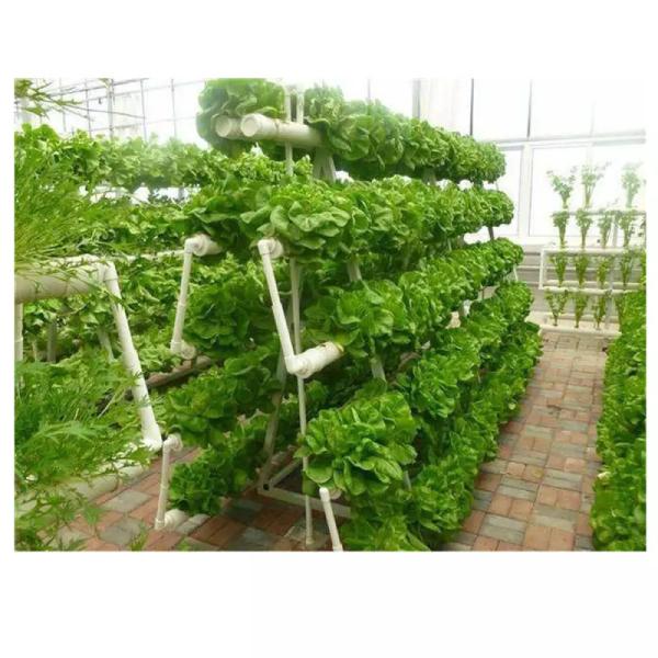 Intelligent Vertical Hydroponic System Aeroponic Tower Zip Channel