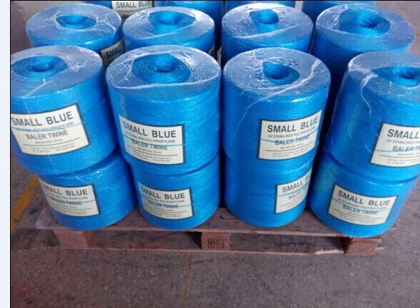 UV Resistant Polypropylene Tying Twine with High Tensile Strength (105KGF - 250KGF) and Customizable Length for Greenhouse and Agriculture