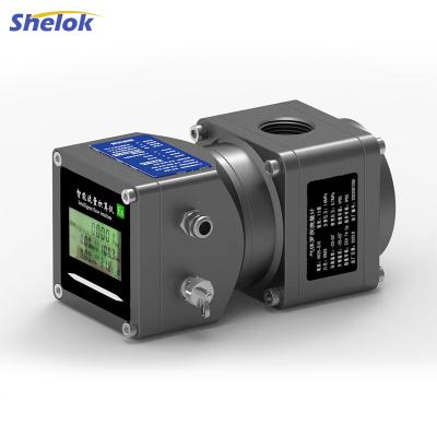 Gas Flow Meter Combining Durable Materials and Intelligent Digital Technology