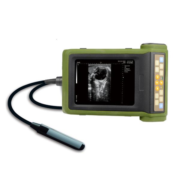 Ultrasonic Medical Hospital Equipments Digital B Mode Veterinary RKU10 Ultrasound