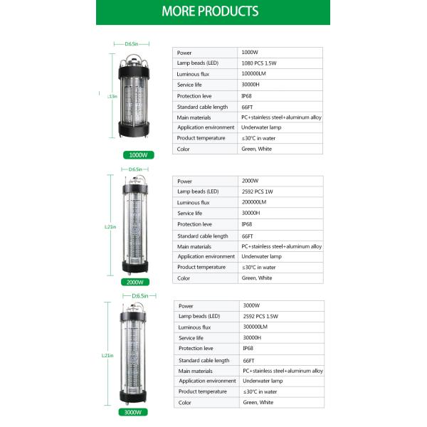 200W 1000W Submersible Fishing Light Outdoor Working Light AC220V