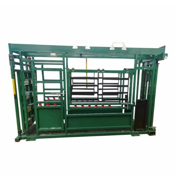 Heavy Duty Automatic Manual Cattle Crush With Weighing Scale