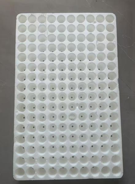 160-cell round seedling tray, sowing tray, floating seedling tray