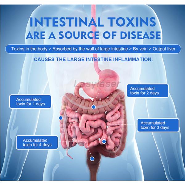 High Performance Hydrocolon Therapy Machine For Intestine SPA Therapist Network System