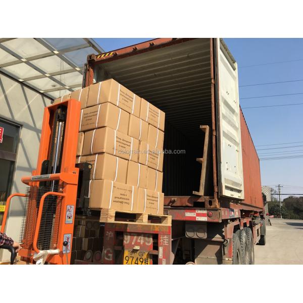 OEM Mens Camo imperméable avec capot 1pc camouflage imperméable pour femmes