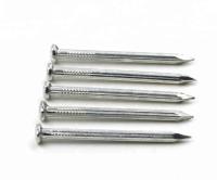 White Silver Steel Concrete Nails Straight 6 Inch 45#/55# Carbon Steel