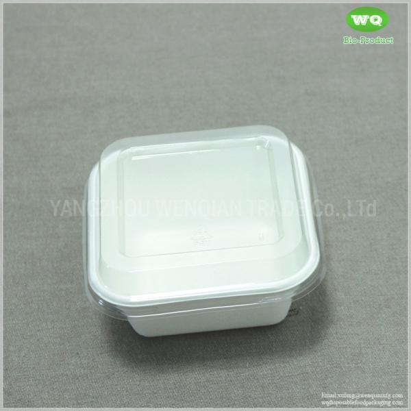 250ml Disposable Square Food Container Made By Sugarcane Bagasse With Clear PET Lid-Easy Green Disposable Food Container