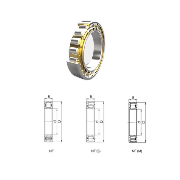 NF ECT Single Row Roller Bearing OEM Customized Electric Motor Bearing