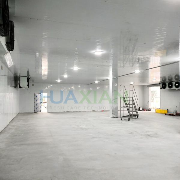 Copeland Refrigeration Walk in Cold Room for Fish, Meat, Vegetable, Fruit Storage