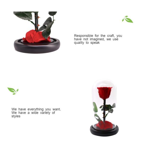 Decoración delicada preservada de la bóveda de cristal roja de Rose In A para casero/interior