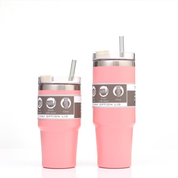 Customized Stainless Steel Water Tumbler With Straw Double Wall Insulated