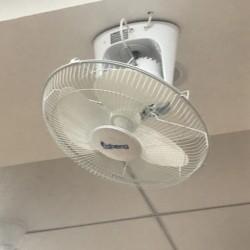 Household Blade Orbit Pedestal Oscillating Fan Plastic 16 Electric