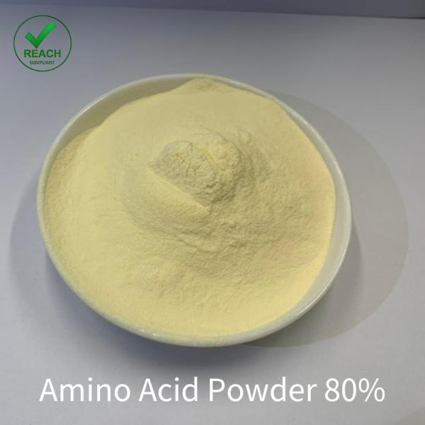 ph4-6 Aminoácidos Fertilizante orgânico Spray foliar orgânico Biofertilizante para vegetais