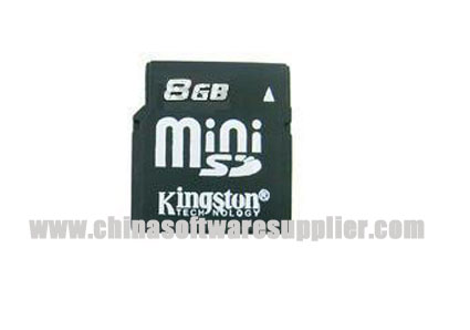 Compact Flash Memory Cards for KINGSTON MINI SD