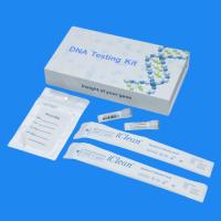 Échantillonnage oro-pharyngé d'écouvillon de réactif de kit d'échantillonnage de dépistage génétique d'ADN d'échantillonnage de boîte expérimentale de secousse