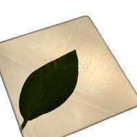 Folha de aço inoxidável do espelho super durável dos SS 316 laminada com Rose Gold Coating
