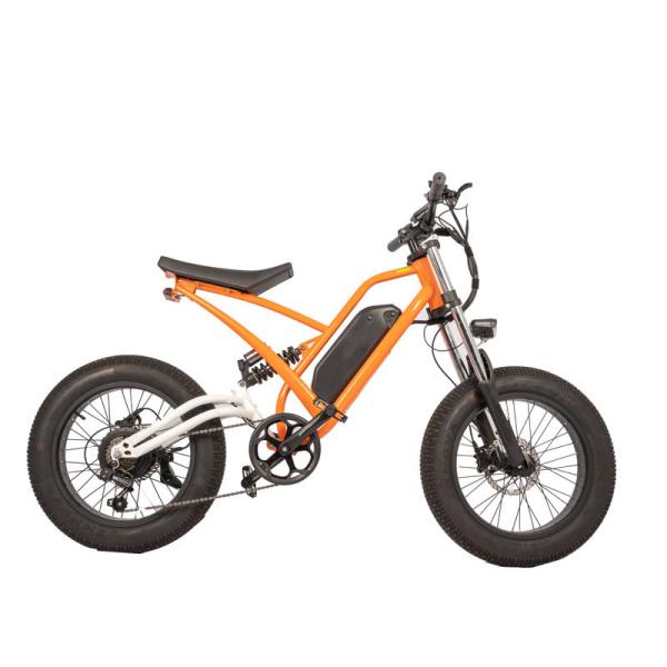 750W Off-Road Electric Fat Tire Bike with 48V 13Ah Lithium Battery and 180kg Load Capacity