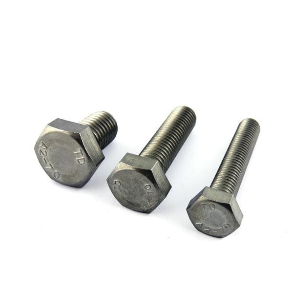Alta resistencia métrica M6 de cabeza hexagonal perno de acero inoxidable 316 personalizado