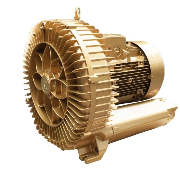 18.5kw 25hp Ring Blower With IE3 Efficiency For Central Vacuum Pump GHBH  025 36 AR9-IE3
