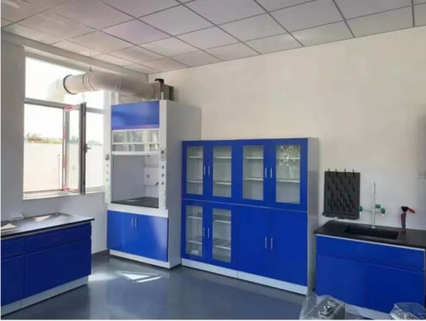 220V Laboratory Fume Hood Steel Glass Window Fume Cupboard Chemistry 300kg