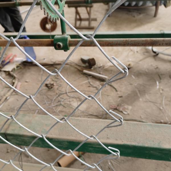 Green 8 Feet 5X5 Fusion Bonded Hedge Slats For Chain Link Fence Hardware Manufactured