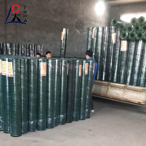Galvanized Welded Wire Mesh Fence Roll Corrosion Resistant