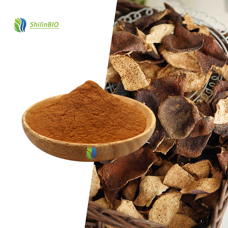 High Quality 10:1 20:1 30:1 Citri Reticulatae Pericarpium Extract Herbal Extract