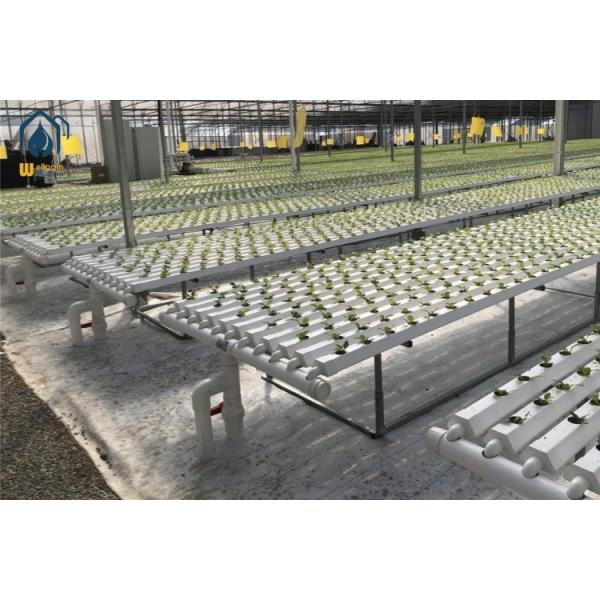 100mm Hydroponic Planting System Small Vegetable Planting Troughs Customized