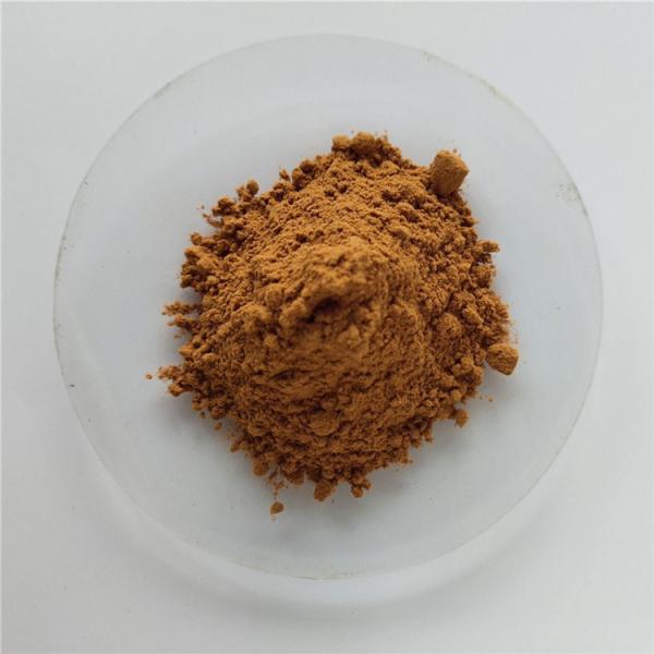 Extract Herbal Bearberry Leaf Extract For Detoxification