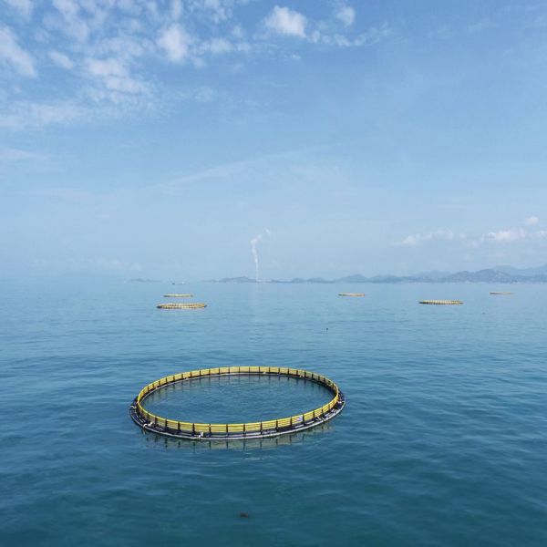 Anti-fouling & Anti-corrosion Round Fish Cage | Resists Algae for Low Maintenance