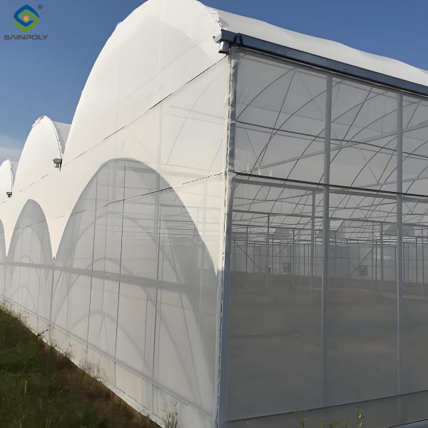 Cultivation de champignons en polycarbonate dans des serres