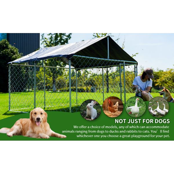 Outdoor Dog Enclosure Heavy Duty Dog Kennel House Mesh Dog Big Cage Pet Kennel Steel Fence with Secure Lock High Quality Dog Cage Dog Cages Metal Kennels