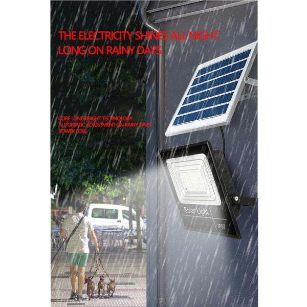Rural Photovoltaic Street Light with High Luminous Efficiency 120lm/w and Waterproof Design