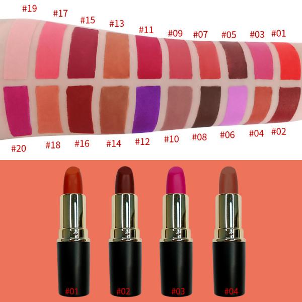 OEM Private Label Waterproof Moisture Lipstick 2.5g 24hrs Long Lasting Lipstick