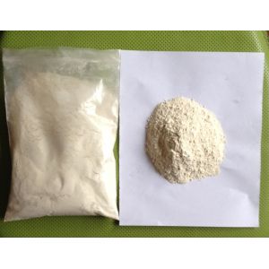 Dehydrated Onion Powder
