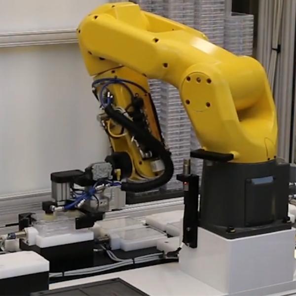 FANUC payload 7kg 6 axis industrial robot programming small size handling assembly robotic workstation
