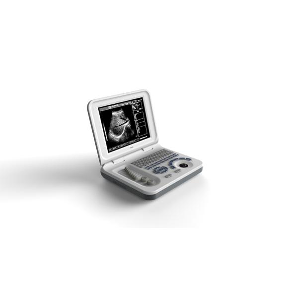 Pregnancy Portable Ultrasound Equipment / Laptop Ultrasound Scanner USB Port
