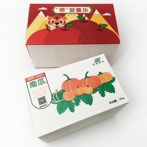 Customize Package Corrugated Plastic Packing Box 2-5Mm Thickness  Abrasion Resistance