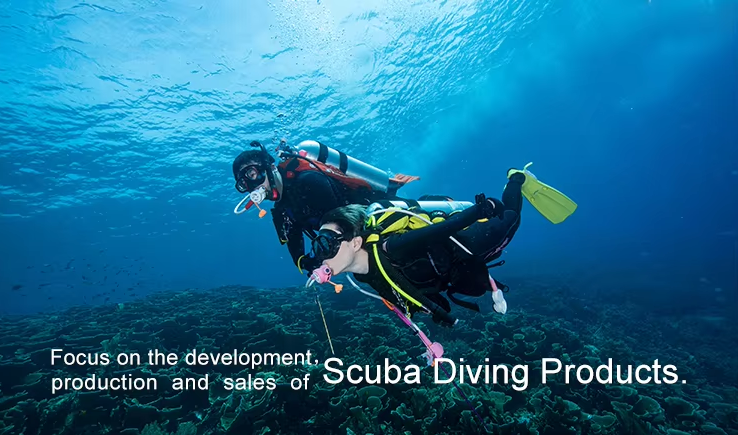 Xiamen TOOKE Electronic Technology Co., Ltd.