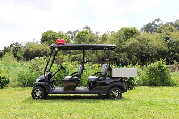 4 Seater Electric Golf Cart With Rear Small Cargo CE Approved