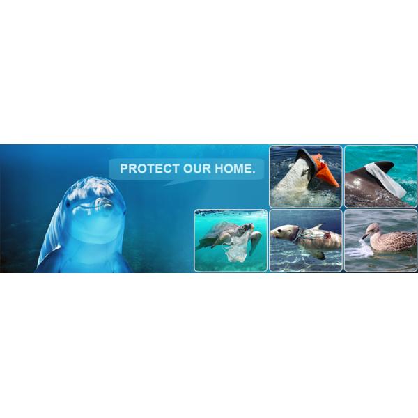 Biodegradable disposable compostable plastic bag and corn starch bag, Eco friendly biodegradable compostable plastic bag