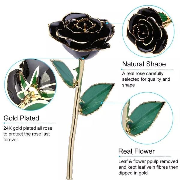 Valentine's Day Gift Of Real Rose Dipped In Gold New Arrival 24K Gold Plating Roses