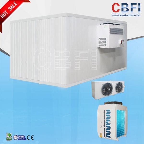 Frozen Foods Seafood Blast Freezing Process / Meat Blast Freezer Easy Operation