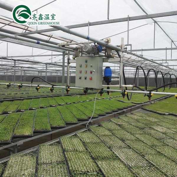 Large Steel Greenhouse Structure Shed Design With 150/200micro PE Film Covering