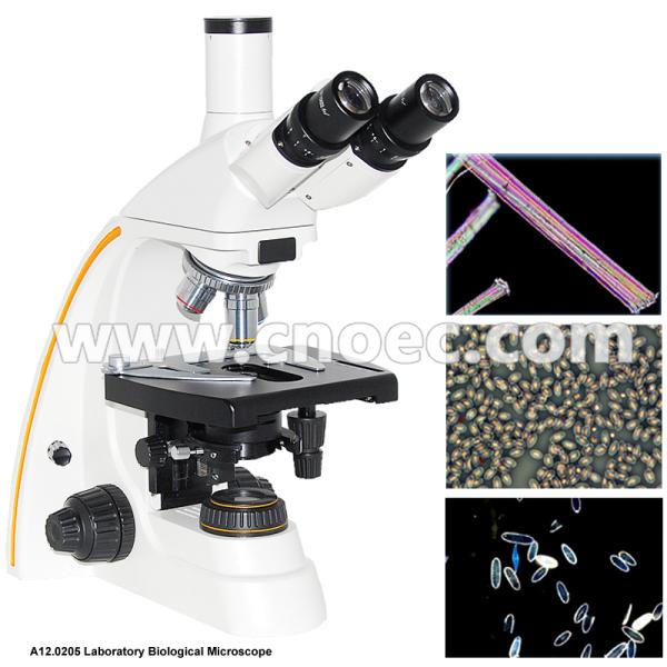1000x Compound Optical Microscope A12.0205 Trinocular Led Light Source