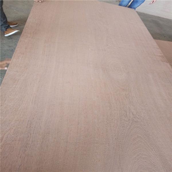First Class Glue E0 E1 1250x2500mm Sapele Marine Plywood