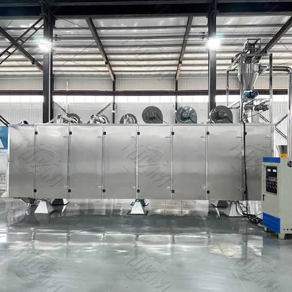 Machine sèche automatique de production d'extrudeuse d'aliment pour animaux familiers de double vis