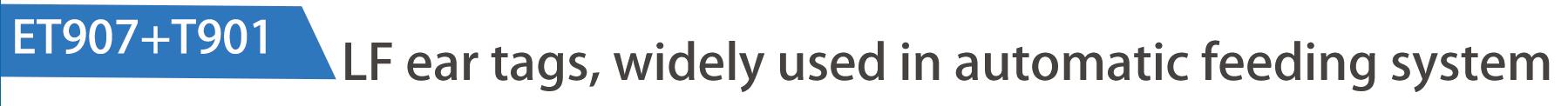 Full ICAR Certified RFID Electronic Ear Tags For Livestock Tracking