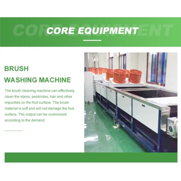 1t/H-5t/H Fruit Washing Equipment Fruit Washing Line For Fruit Export Sales