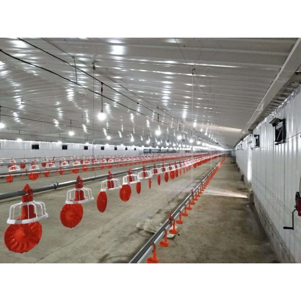 Steel Poultry House with Programmable Controller Exhaust Fan Solution and 50 Years Lifespan for Broiler Chicken Farm